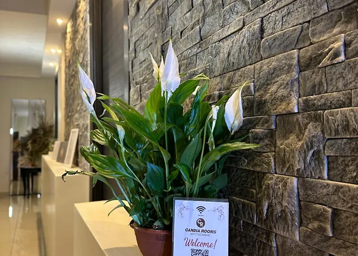 לינה וארוחת בוקר Candia רומא