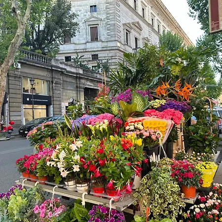 Candia Bed and breakfast Roma